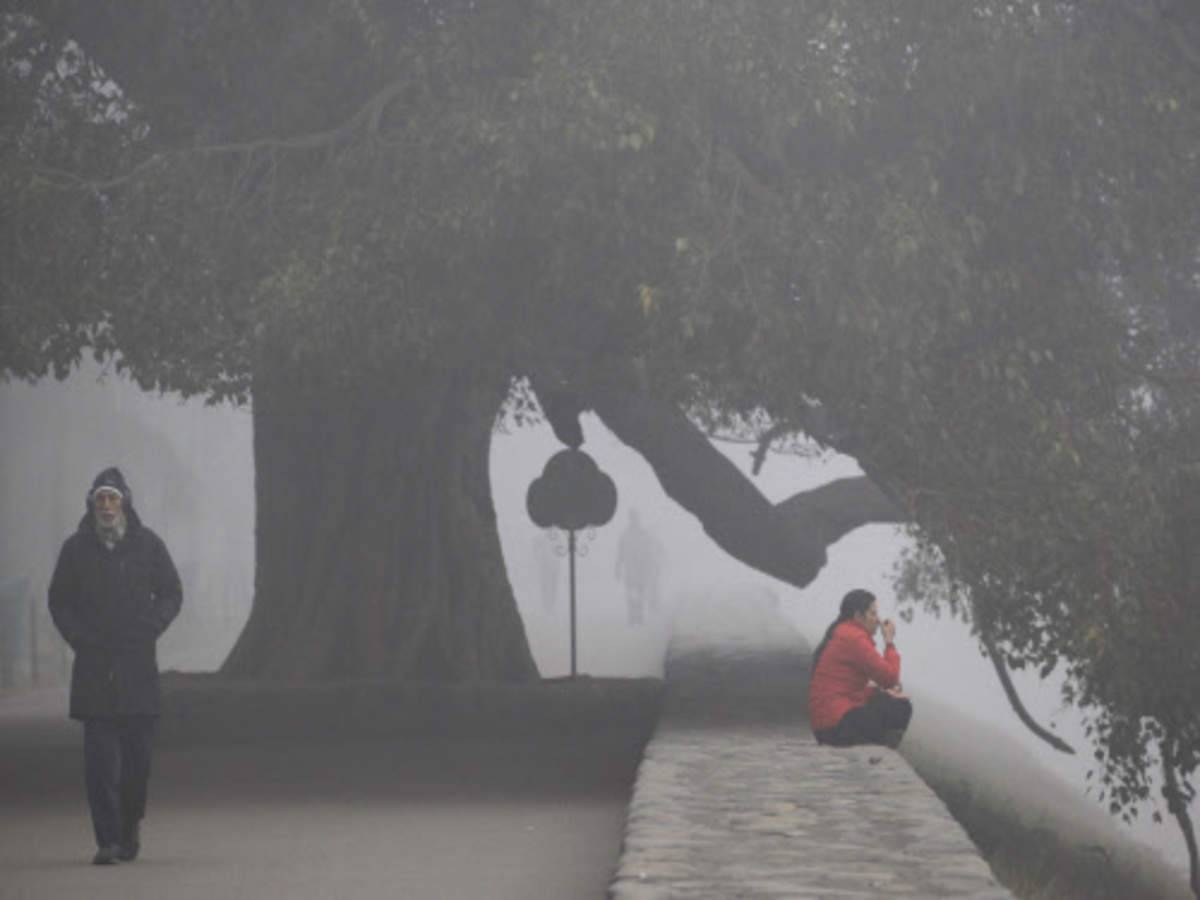 IMD Issues Cold Wave & Dense Fog Warning