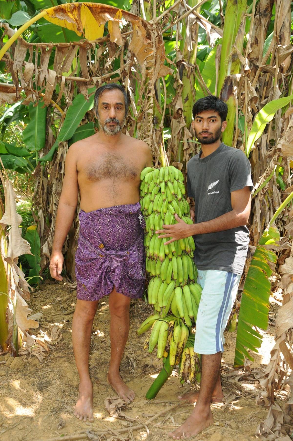 Kerala Man's 3-Acre Farm Produces 430+ Banana Varieties