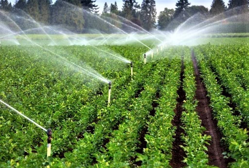 Irrigation