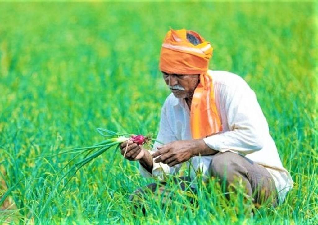 Farmer in the Field