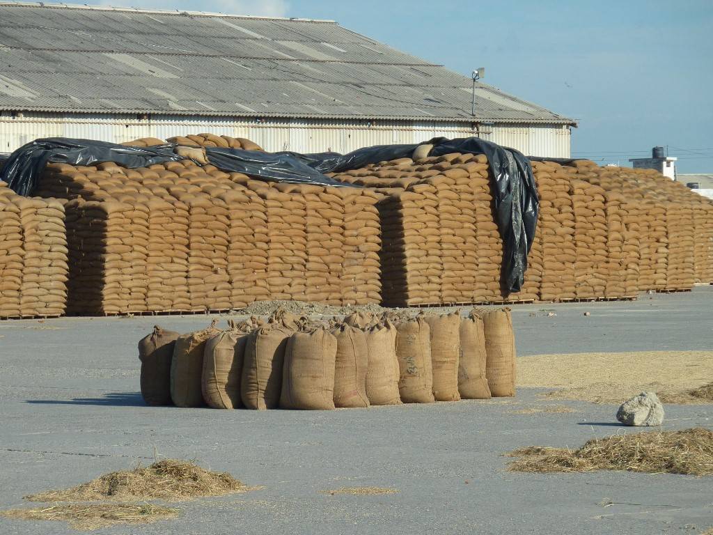 Post-Harvest Storage