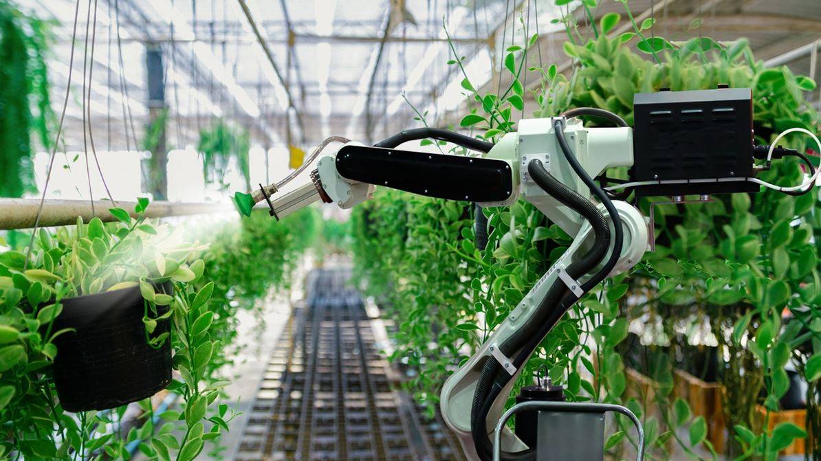 AI- Guided Machine taking care of plants