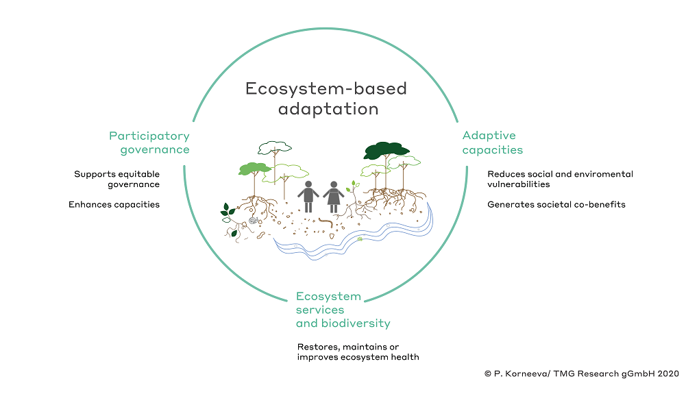 A conceptual framework for Ecosystem-based Adaptation