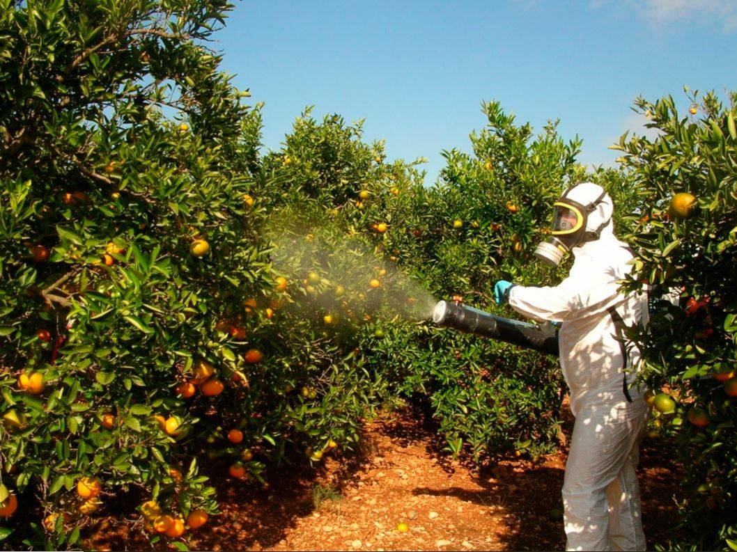 Spraying Pesticides