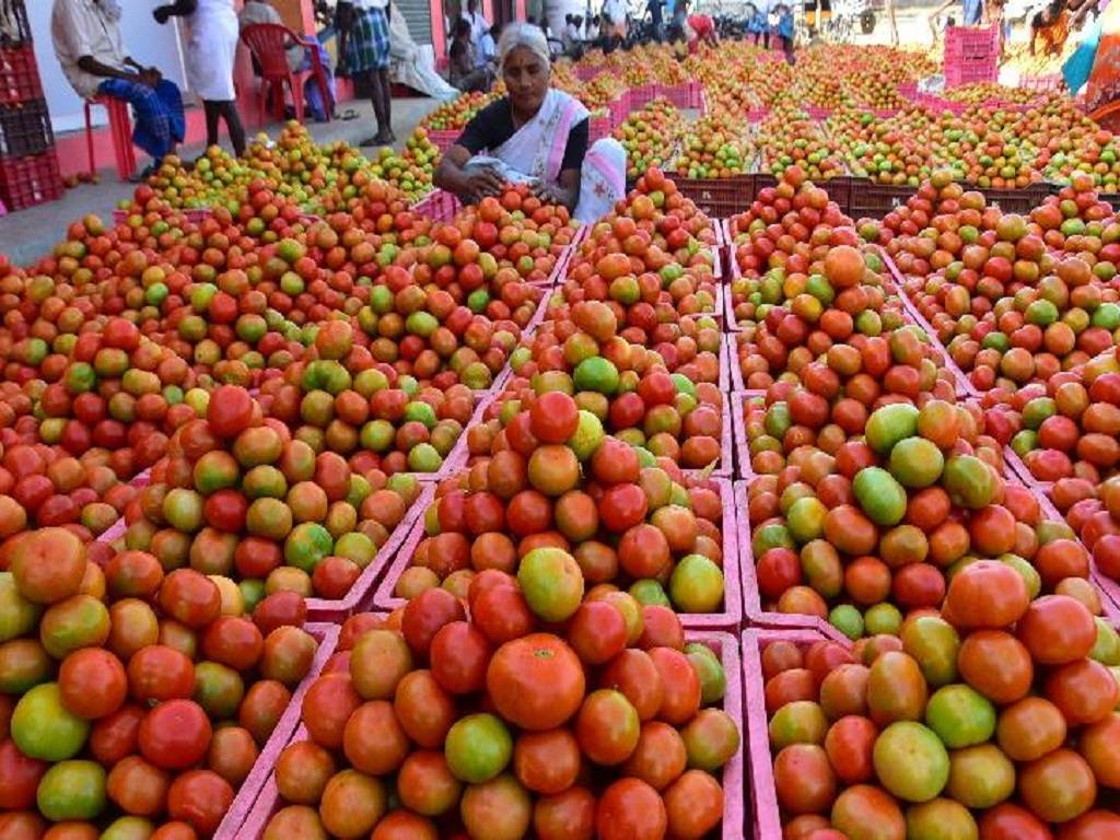 Rainfall in December Affect Vegetable Production