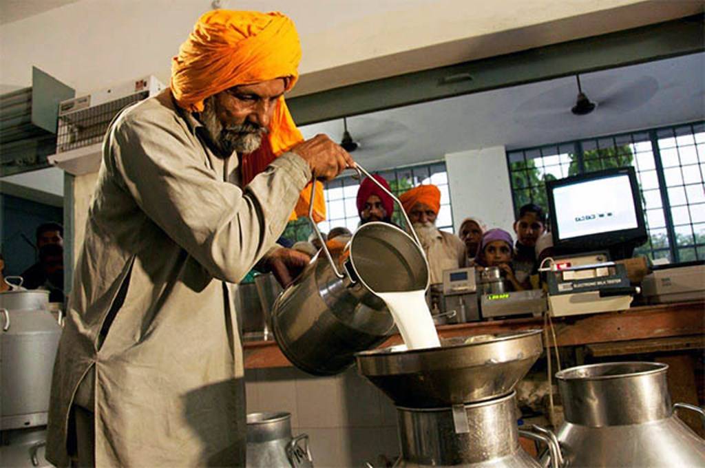 A man collecting milk