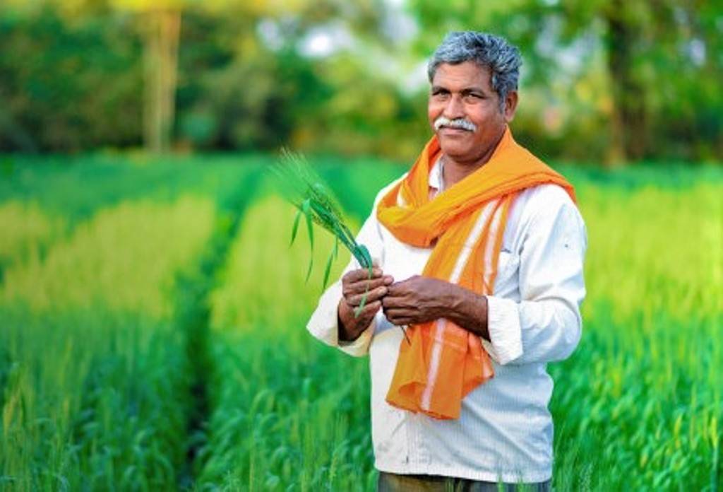 Farmer in the field