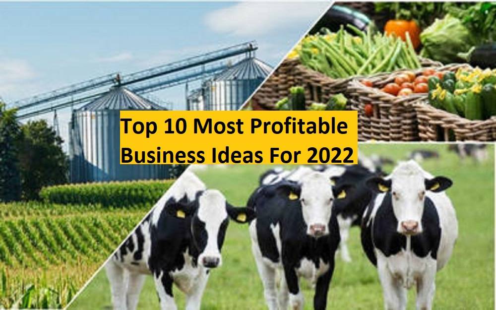 start these 10 most profitable business ideas in 2022 with full government support &amp; earn in lakhs!