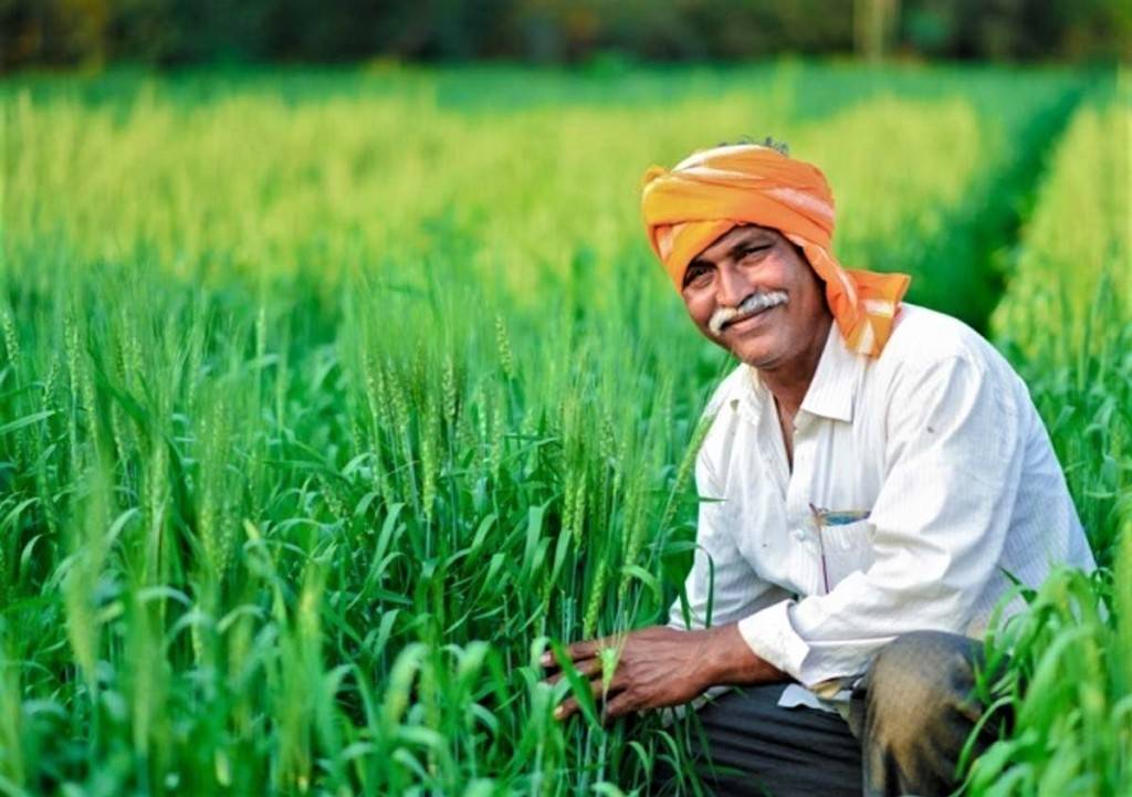 Farmer in the field