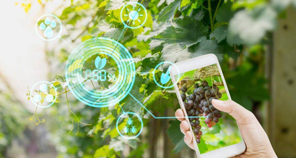 Technology In Agriculture