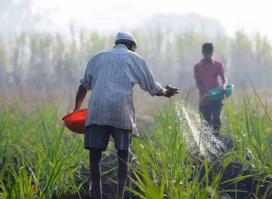 India’s Agriculture Sector Round Up 2021