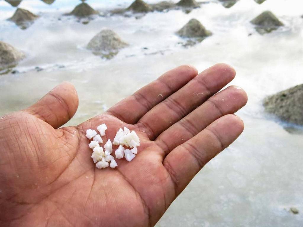 This Family Carrying the 500 Year Old Salt Farming Legacy