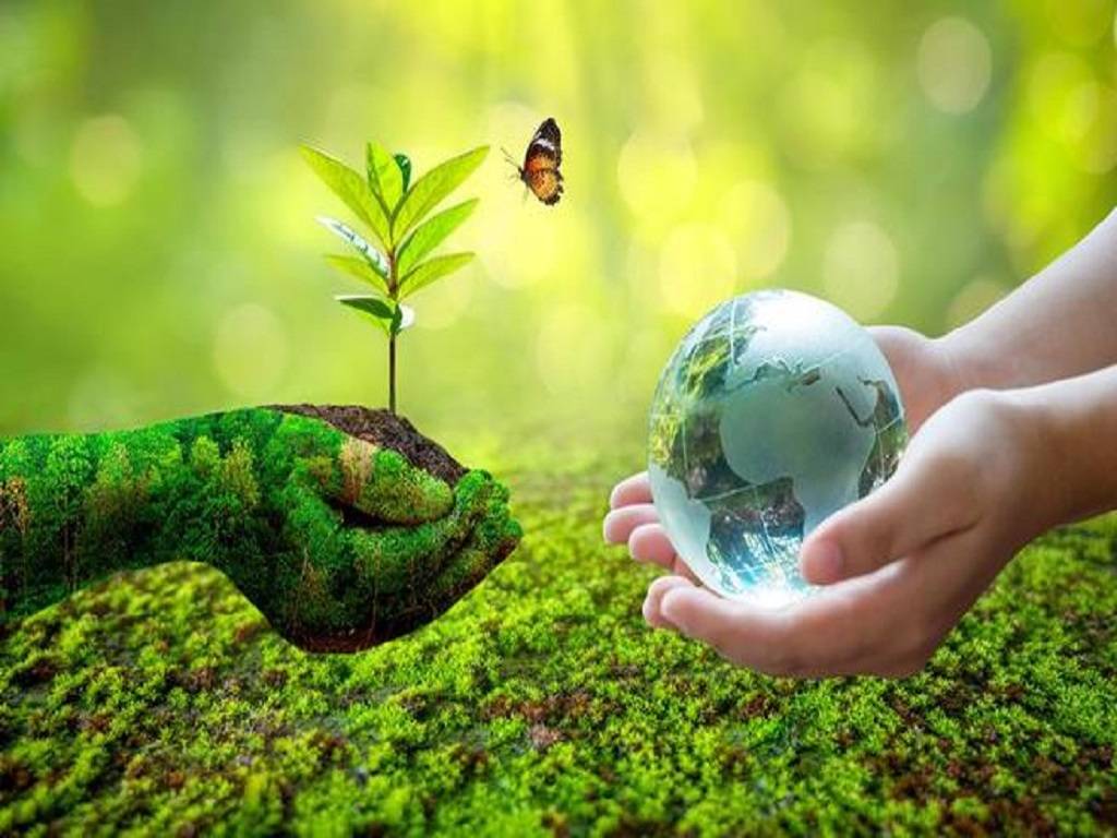 Eco-Friendly Lifestyle Resolutions To Save The Earth