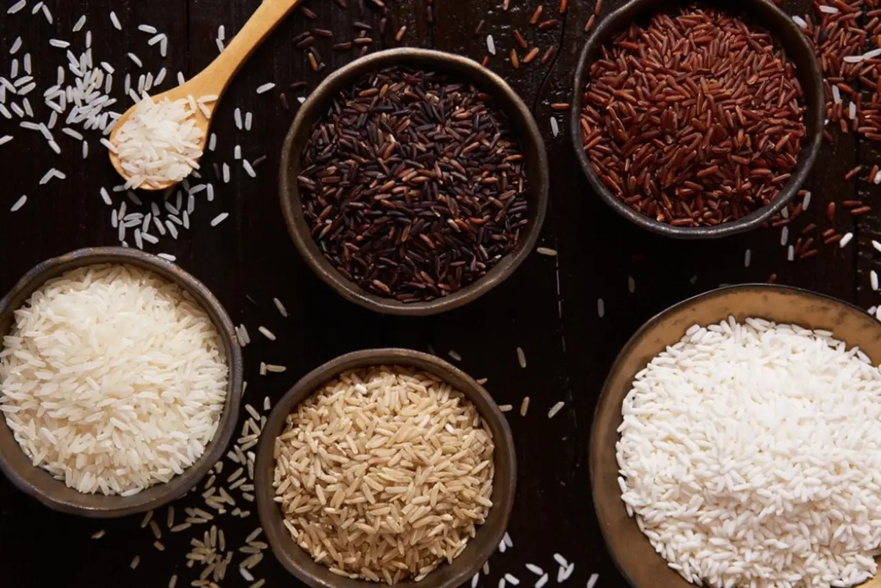 Different Varieties of rice
