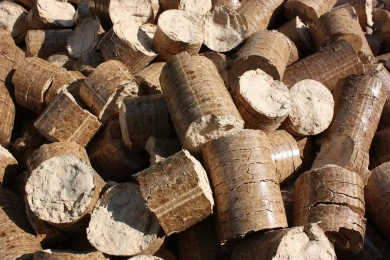 Biomass Briquetting