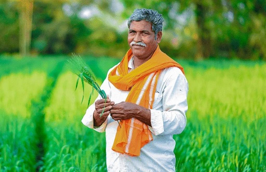 Farmer in the field