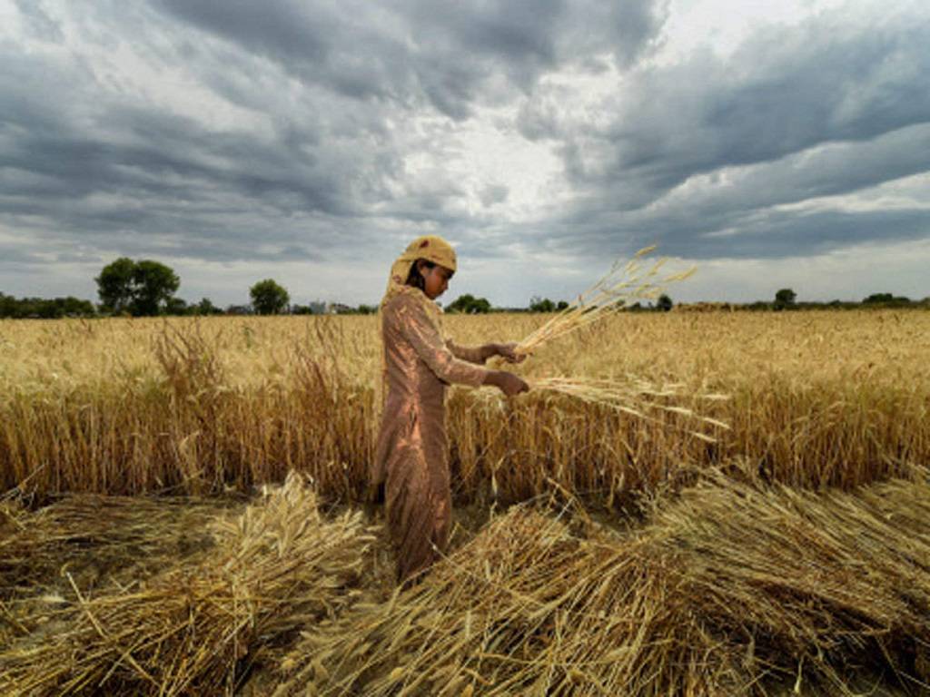 Farmers Hit By Rain