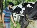 This Engineer from Kerala Uses Scientific Approach in his Dairy Farm, Now Earns in lakhs!