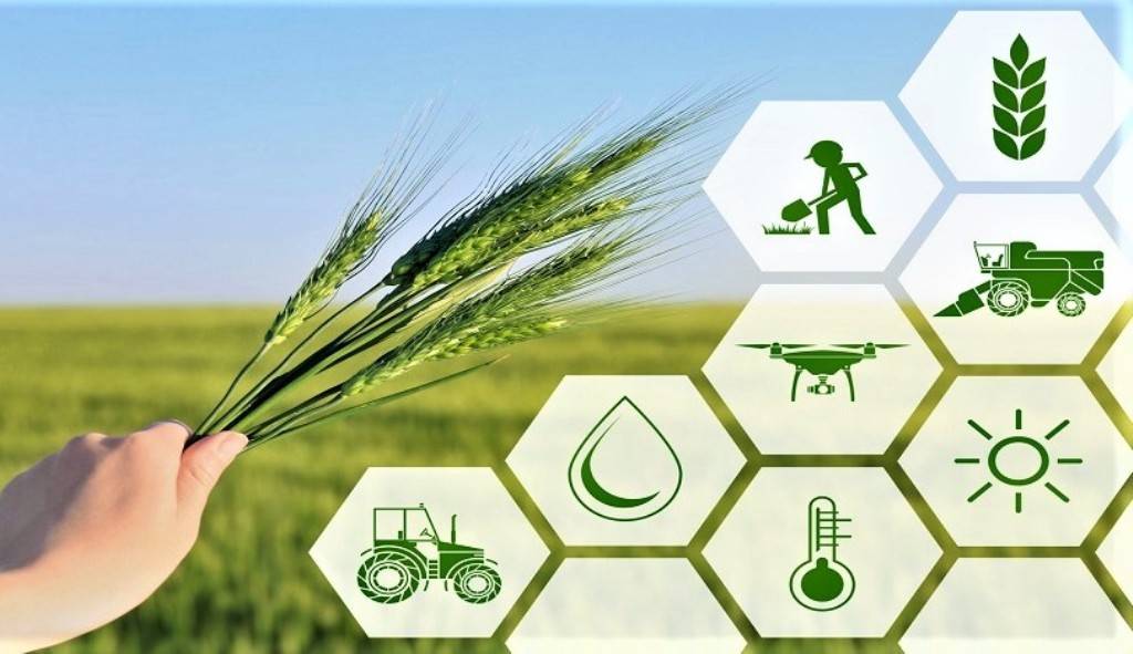 Ninjacart: India's Largest Agri-Platform