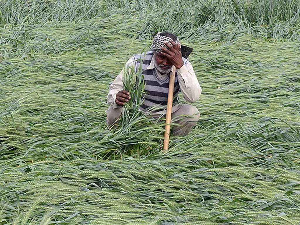 MP farmers in lurch due to delay in crop insurance claims