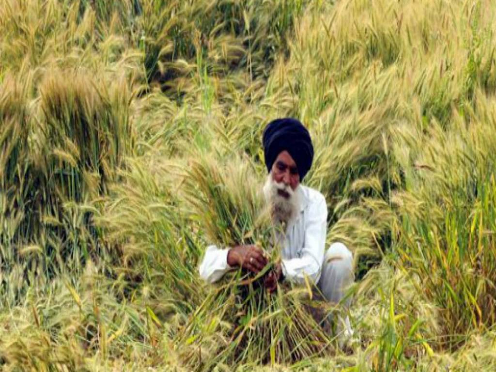 Farmers Demand Compensation For Their Standing Crops