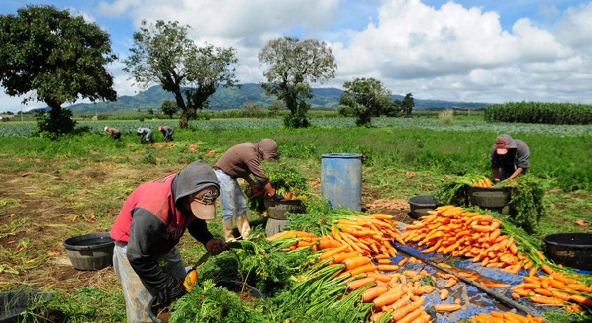 Latin American Farming Communities