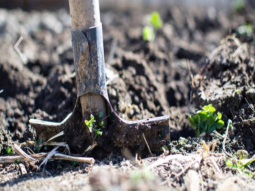 Natural Farming