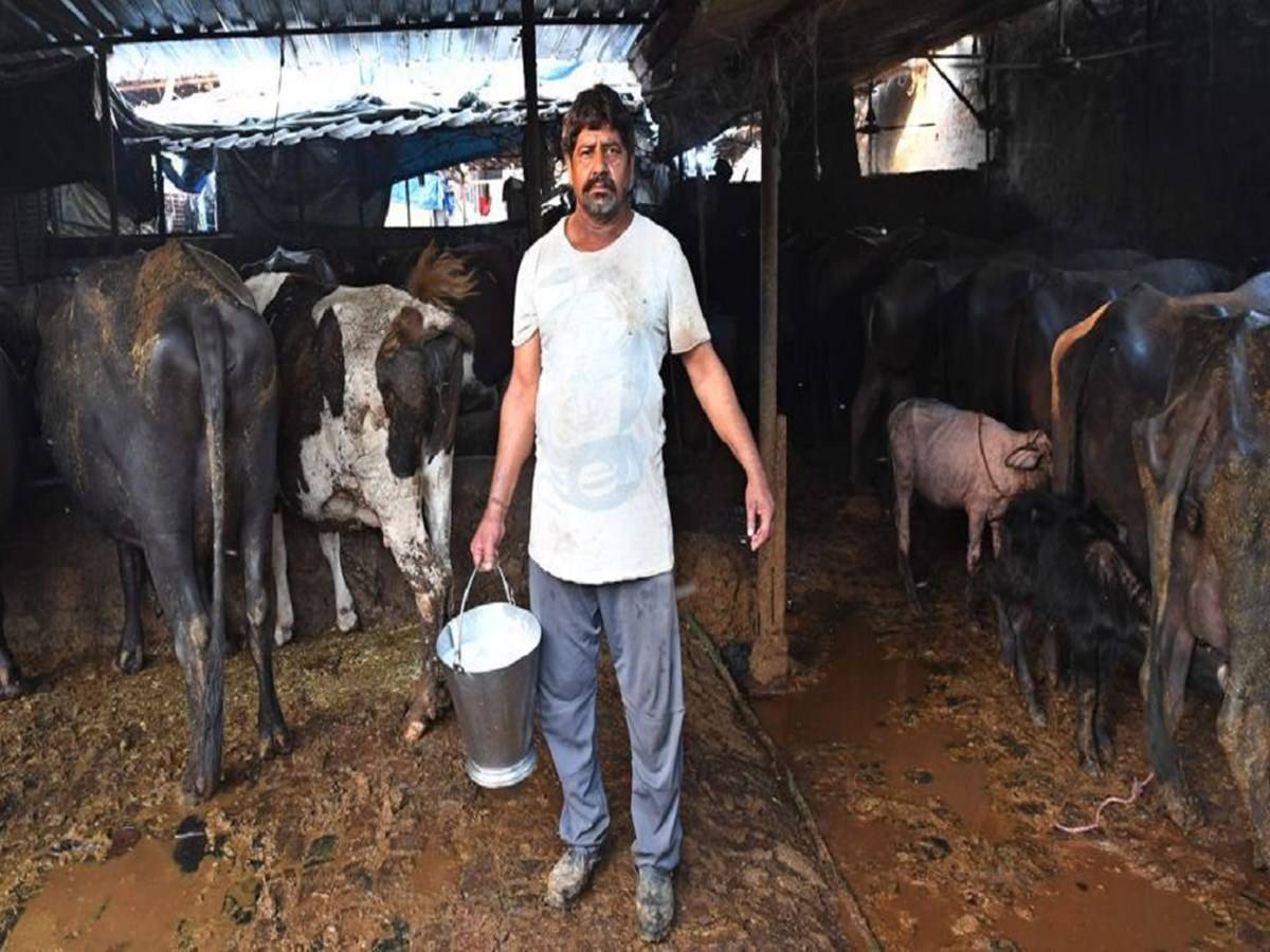 Bhopal Dairy Farmers Demand Higher Pay from Coop