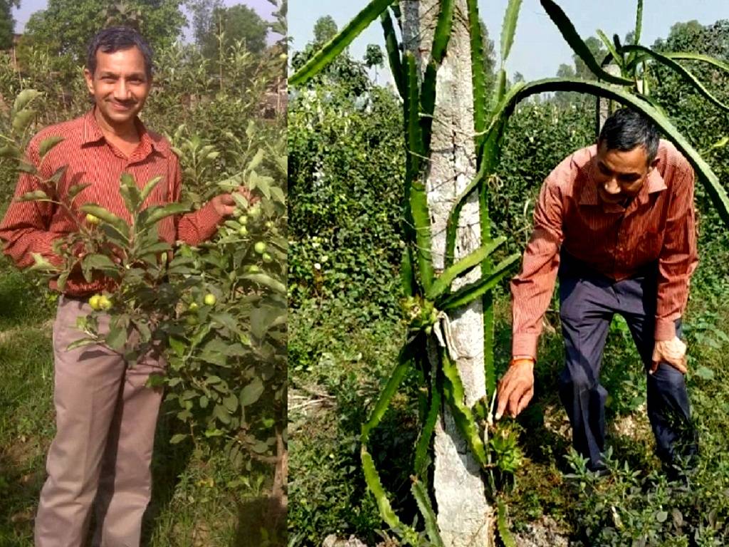 Retired Colonel From UP Earn in Lakhs by Growing Chia Seeds and Apples