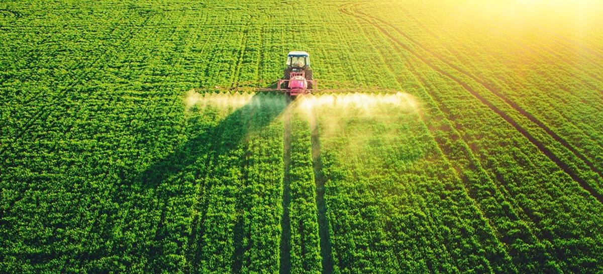 Spraying Pesticides in the field