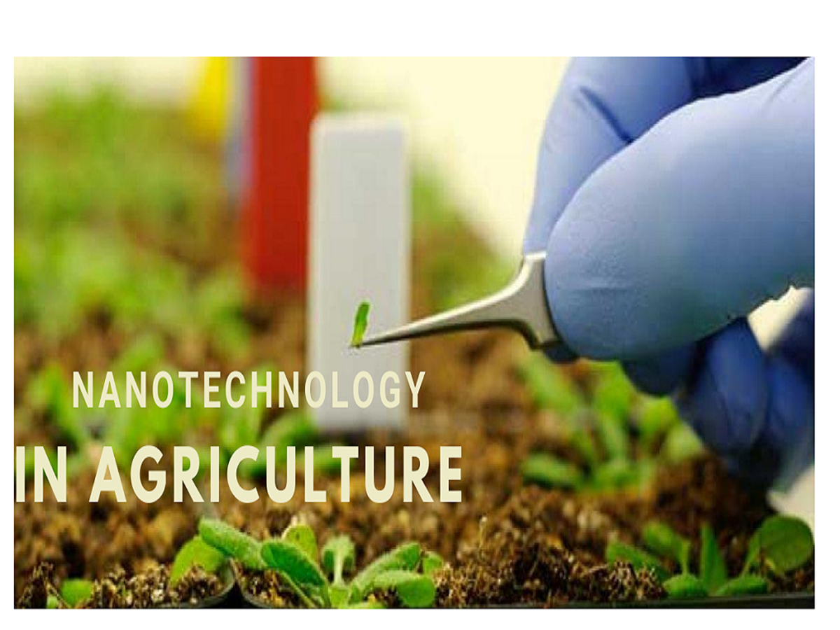 Use of Nanotechnology in Agricultural Sector