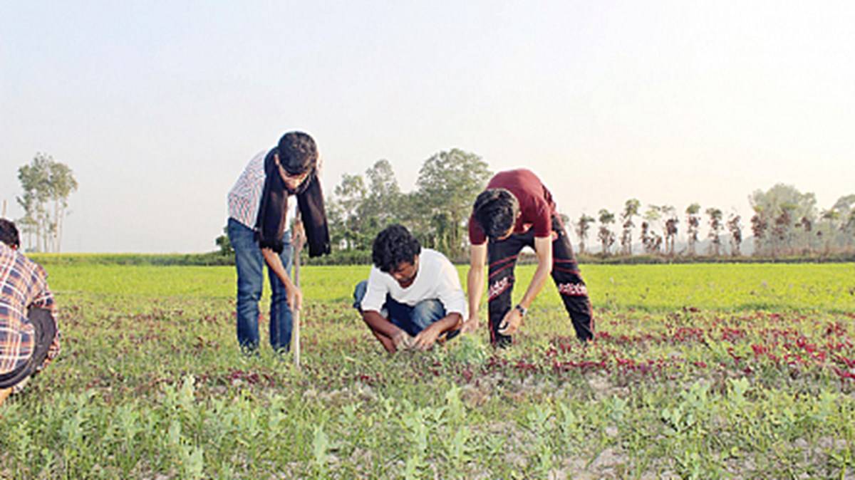 Young Children Enjoying Agricultural Activities