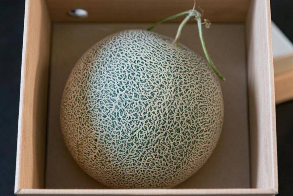 Yubari King Melon In The Box