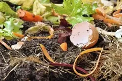6 Home-Made Organic DIY Fertilizers for your Garden