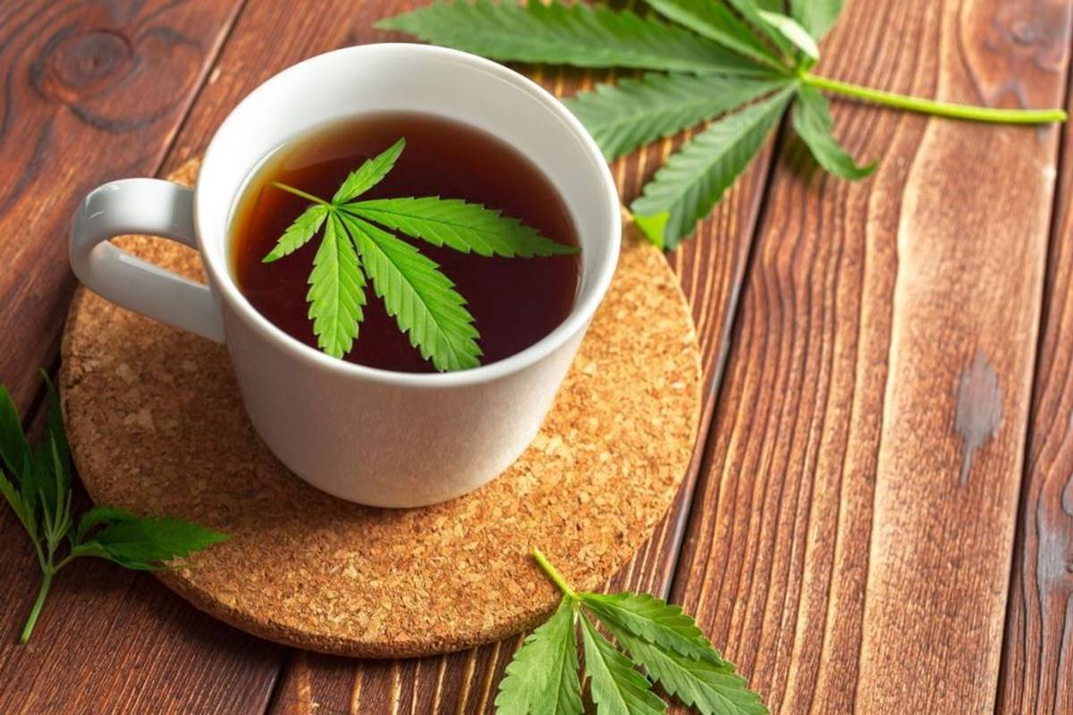 Cannabis Tea and its leaves in the cup