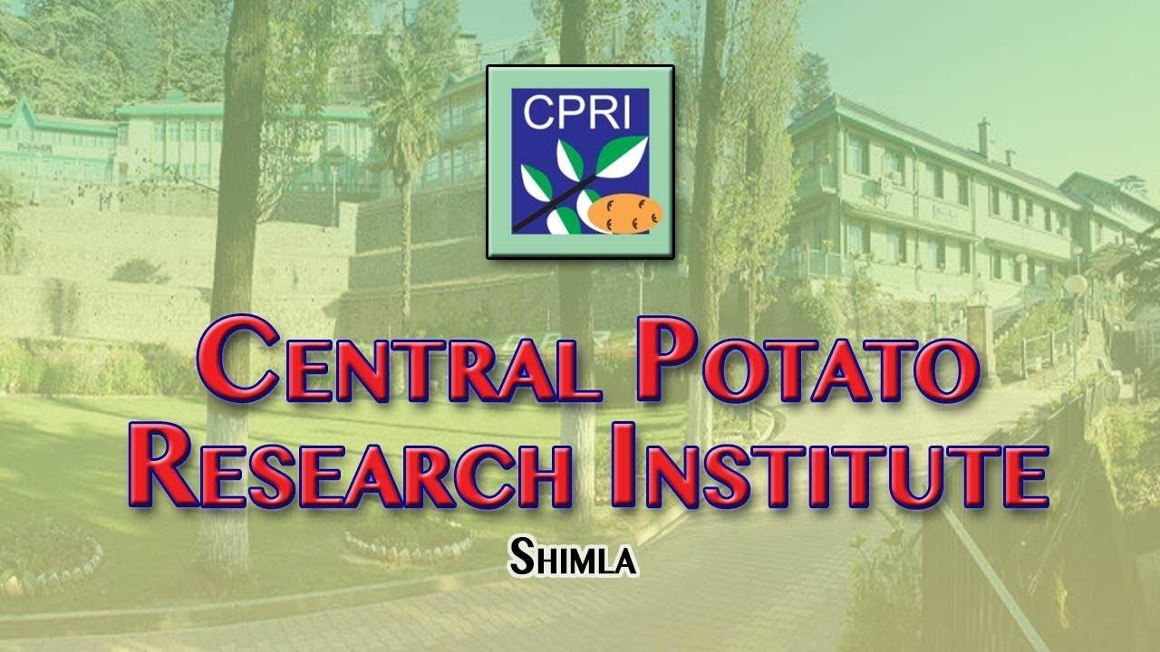 CPRI -Shimla