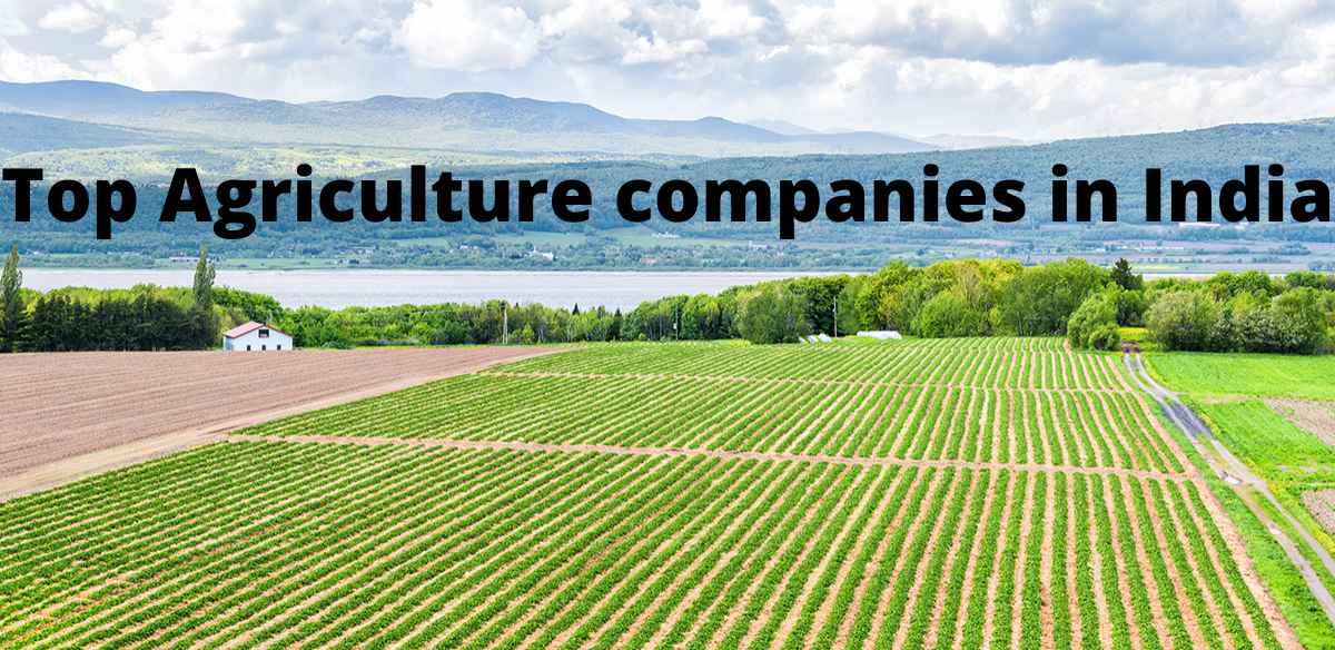 Top 10 Agriculture Companies In India In 2022