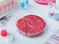 Cellular Agriculture: A Science Towards Meat Without Animals, Eggs Without Hens & Milk Without Cows 