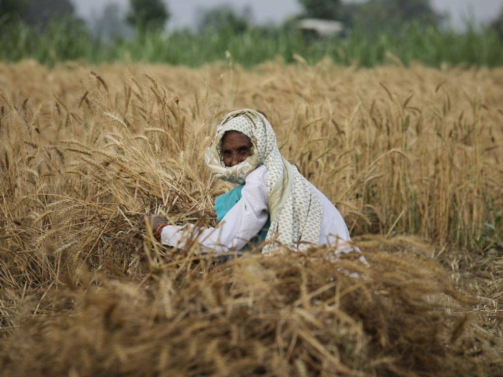 Water Intensive crops