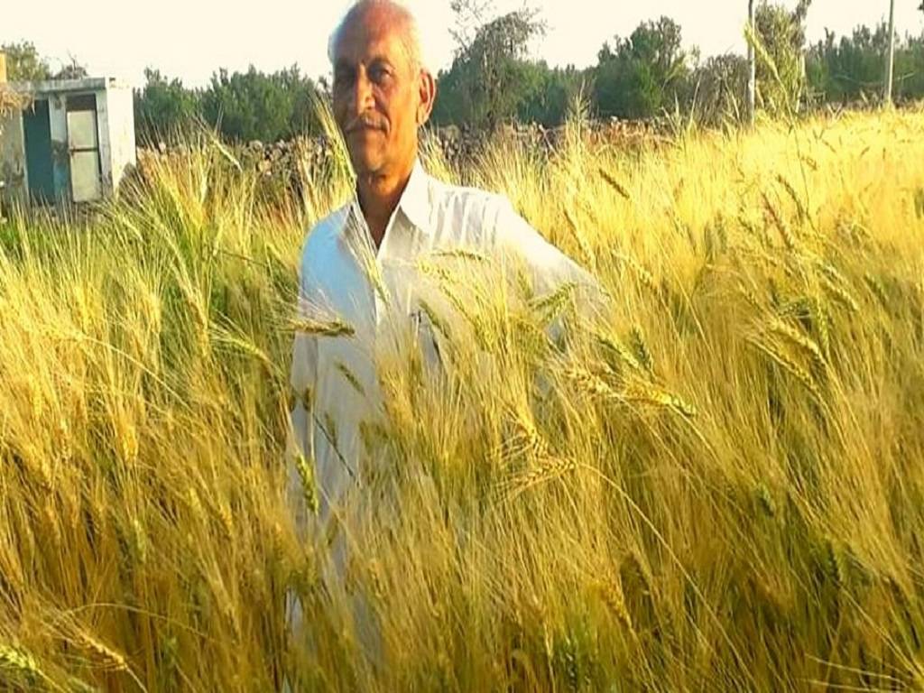 Rajasthan Farmer Hukumchand Patidar