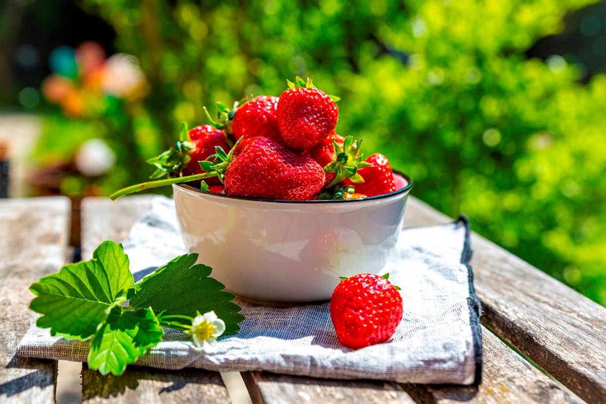 Strawberries of home garden