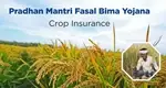 PM Fasal Bima Yojana: Crop Insurance Claims Worth Rs. 822.1 crore Pending Due to State Governments' Failure