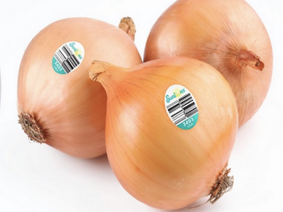 Sunion: A Non-GMO Onion
