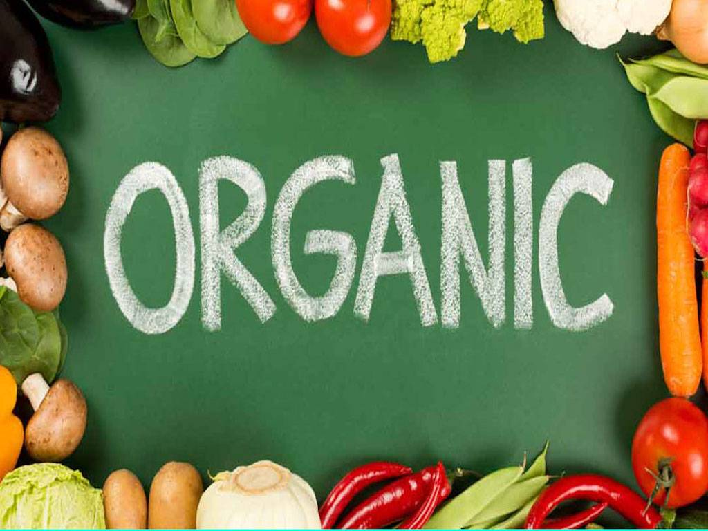 Organic Food