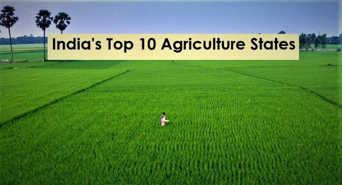 Top 10 Leading Agriculture States of India