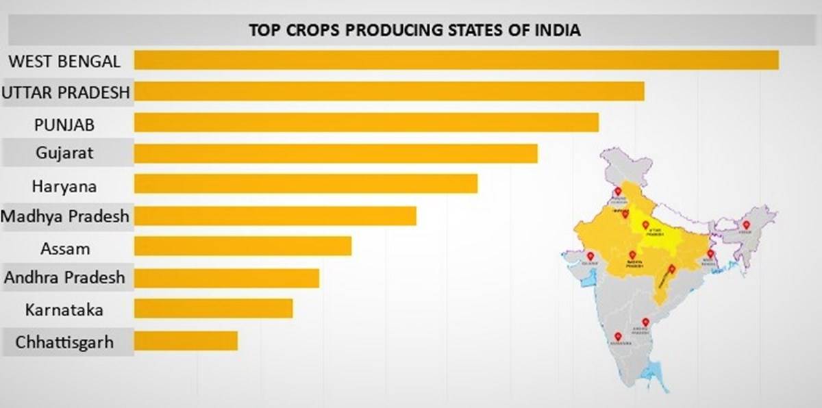Major Crop Producing States of India