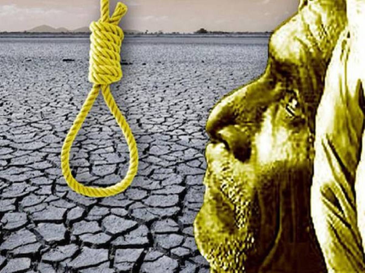 2,498 Farmers Died Due to Suicide in 11 Months in Maharashtra