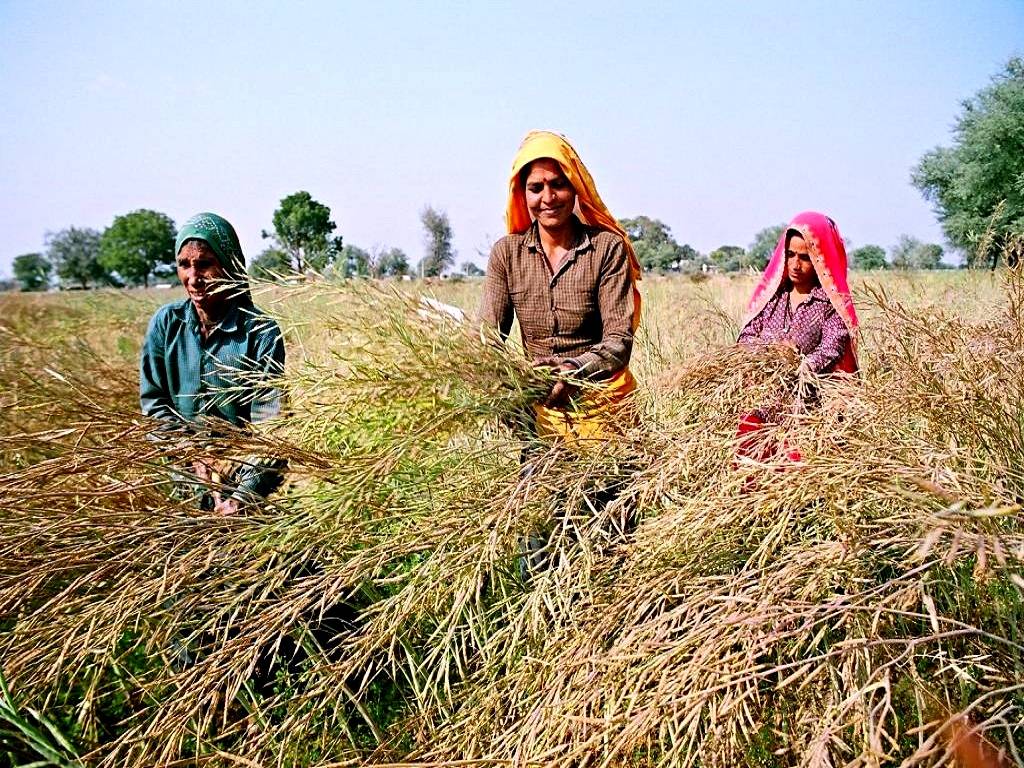 Rural families have surprisingly low expectations for the upcoming Union Budget 2022