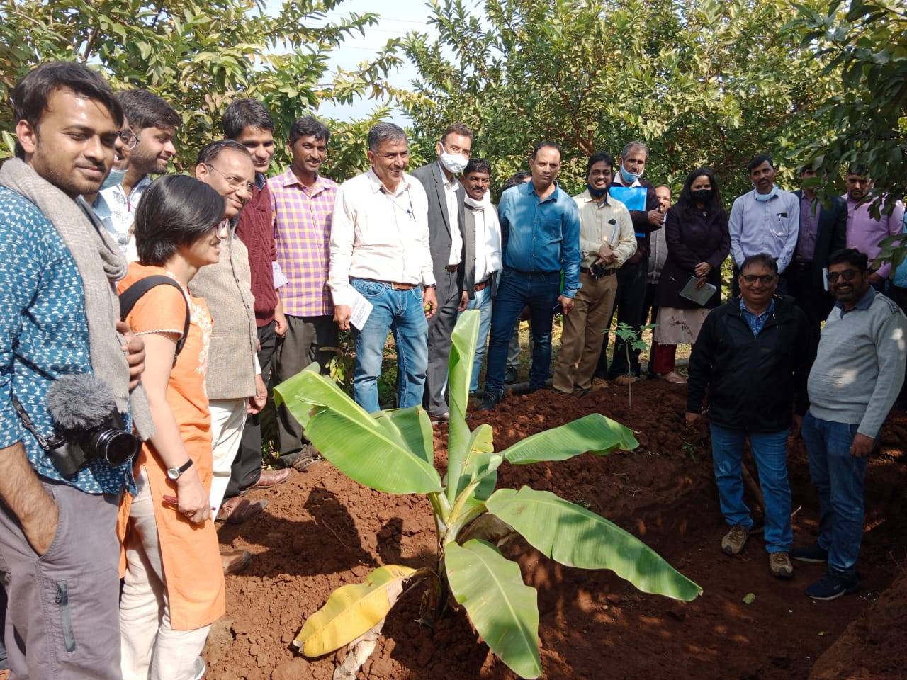 People are observing and appreciating natural farming