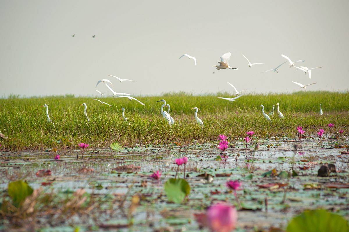 World Wetlands Day 2022